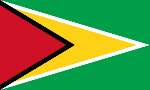 Guyana Official Flag