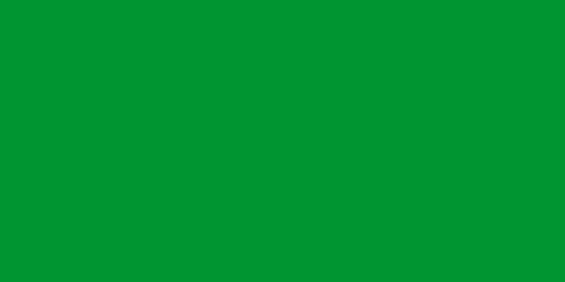 Libya Official Flag