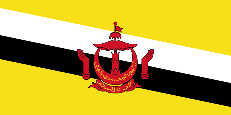 Brunei Official Flag