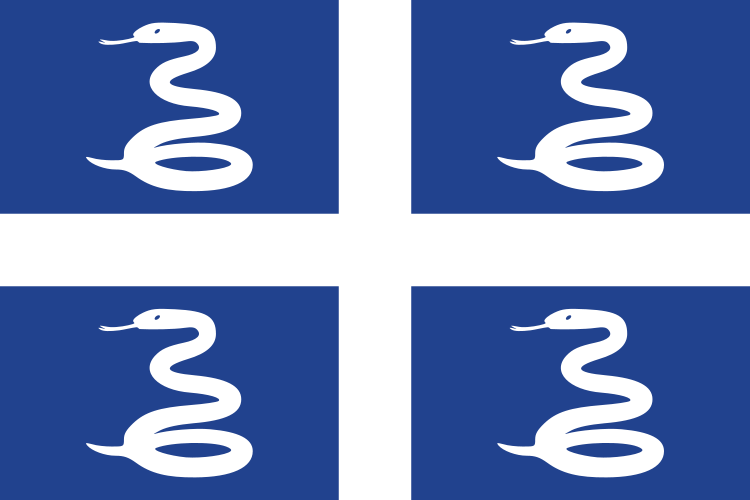 Martinique Official Flag